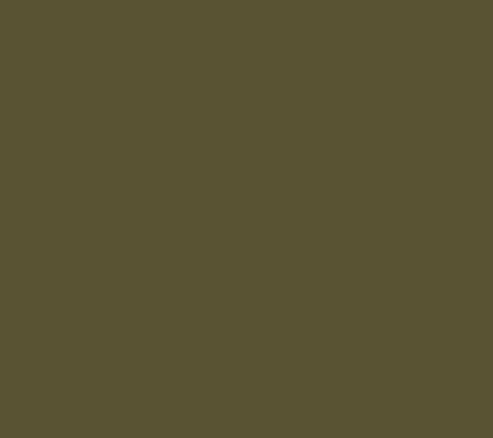Olive Suede
