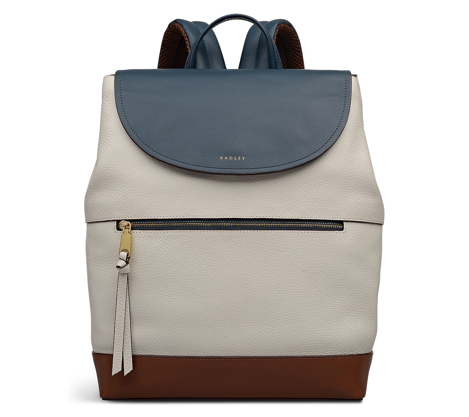 RADLEY London Albion Street Colorblock Large Leather Backpack