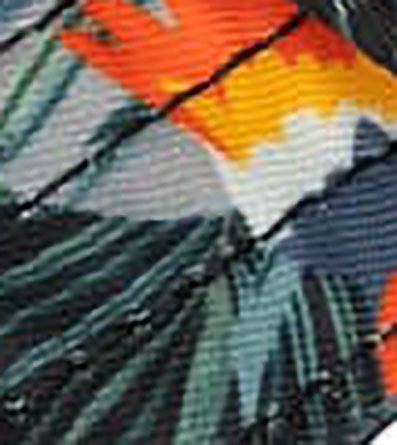 Wildlife Black