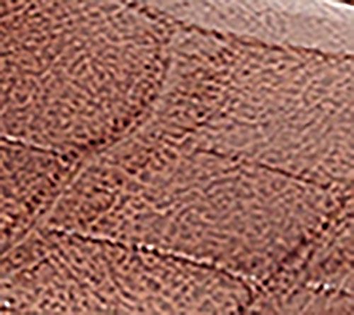 Brown Croco