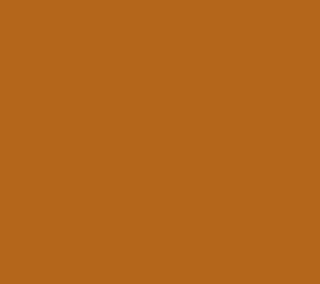 Golden Cocoa