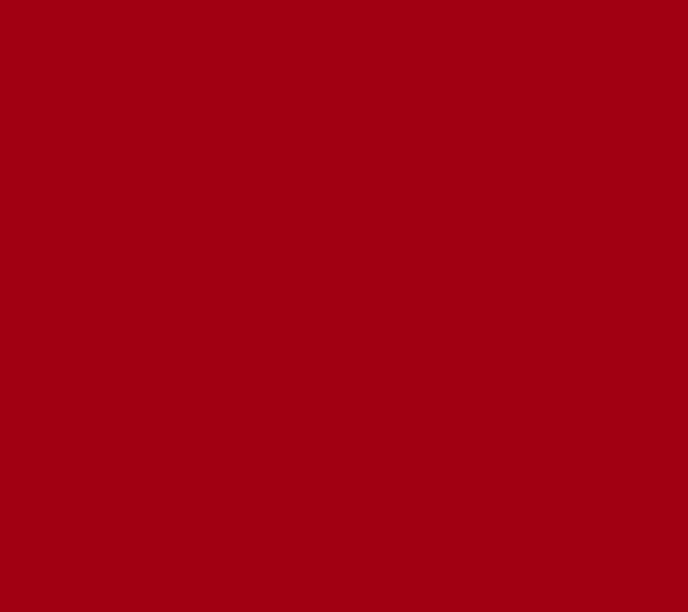 BuffaloCheckRed
