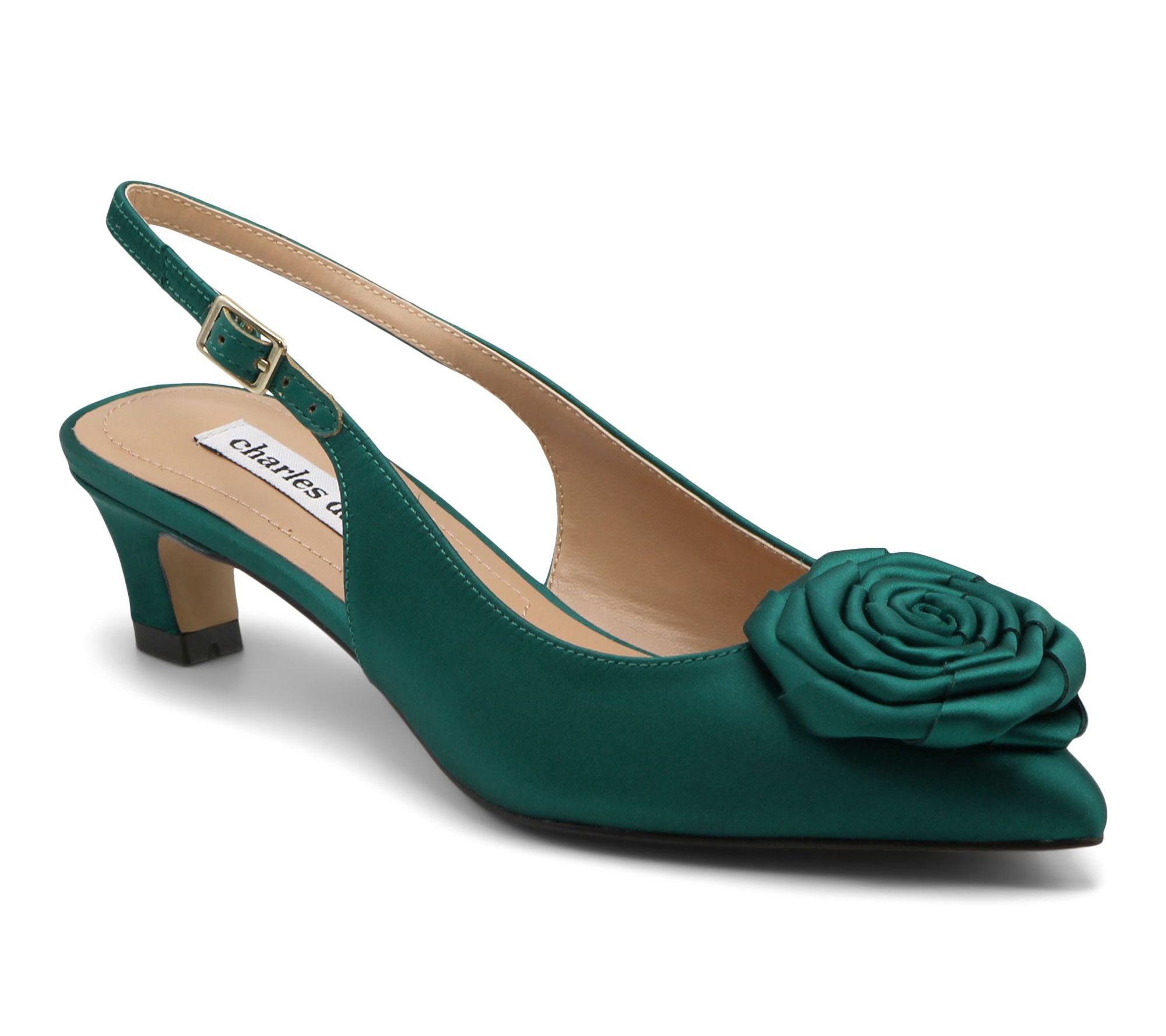 Charles David Aleph Slingback Dress Pumps