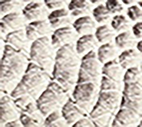 Ivory Snake