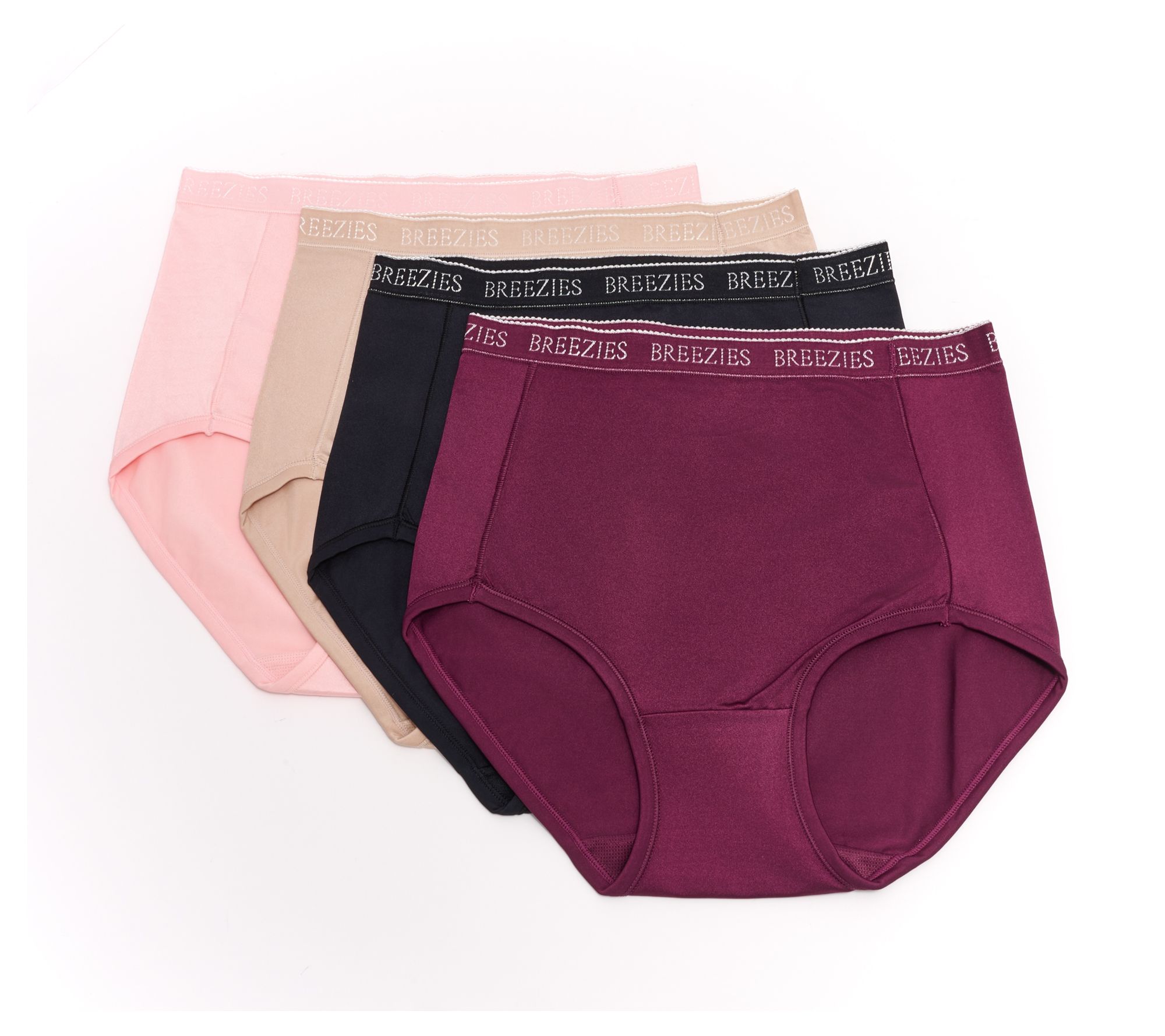 Breezies Nylon Microfiber Full Brief Panty 4 Pack
