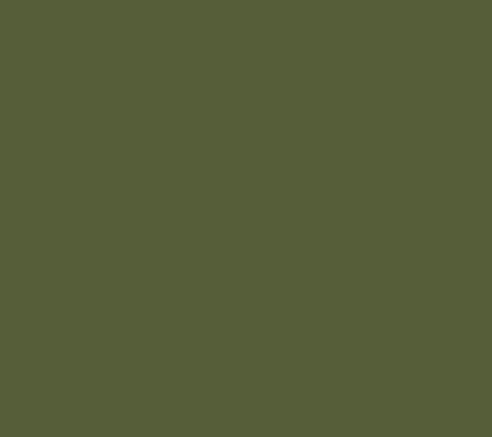 Forest Pine