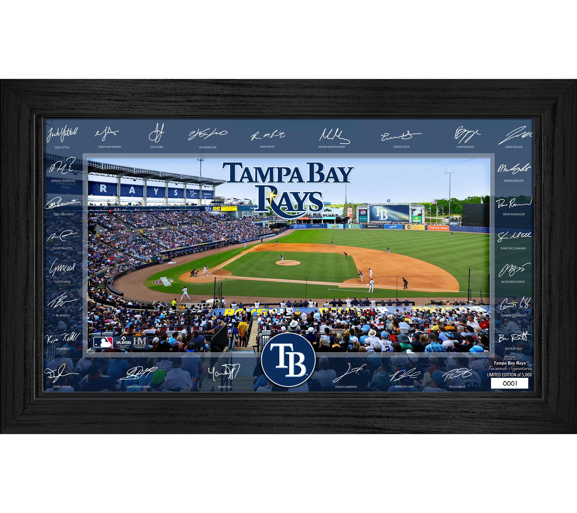Highland Mint Tampa Bay Rays 2025 Signature Field Frame