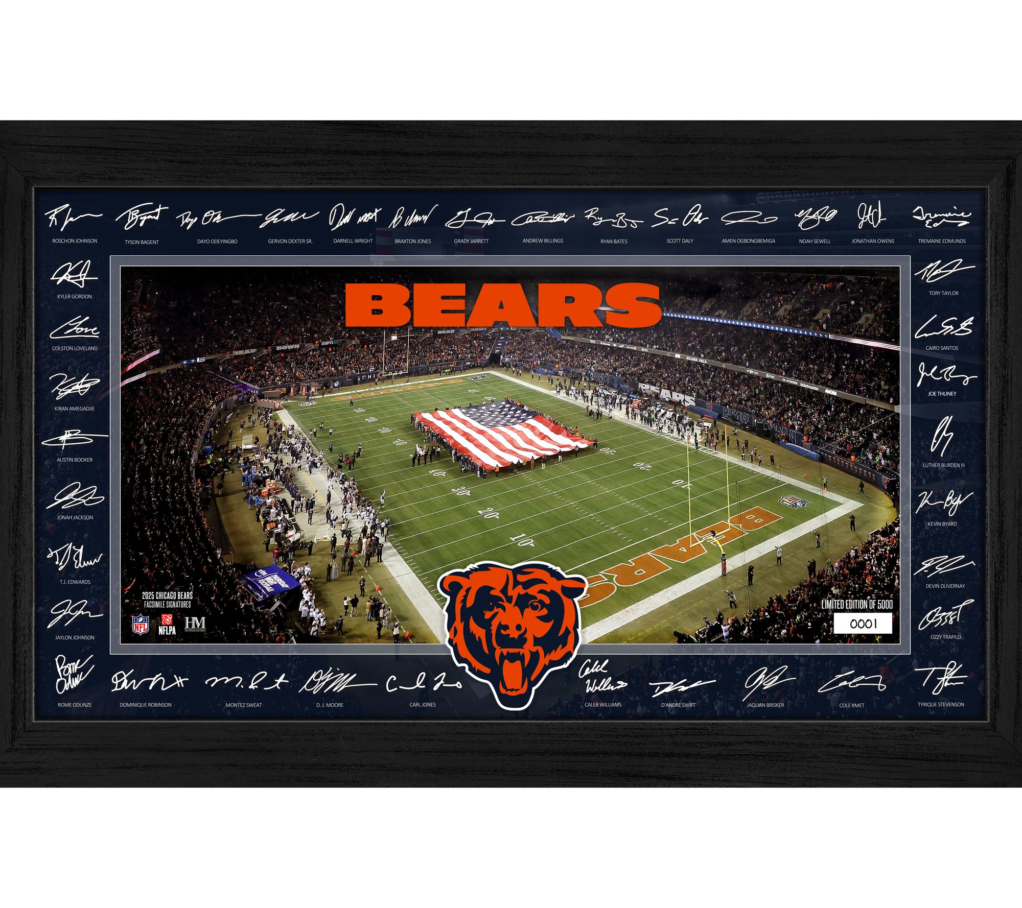Bears