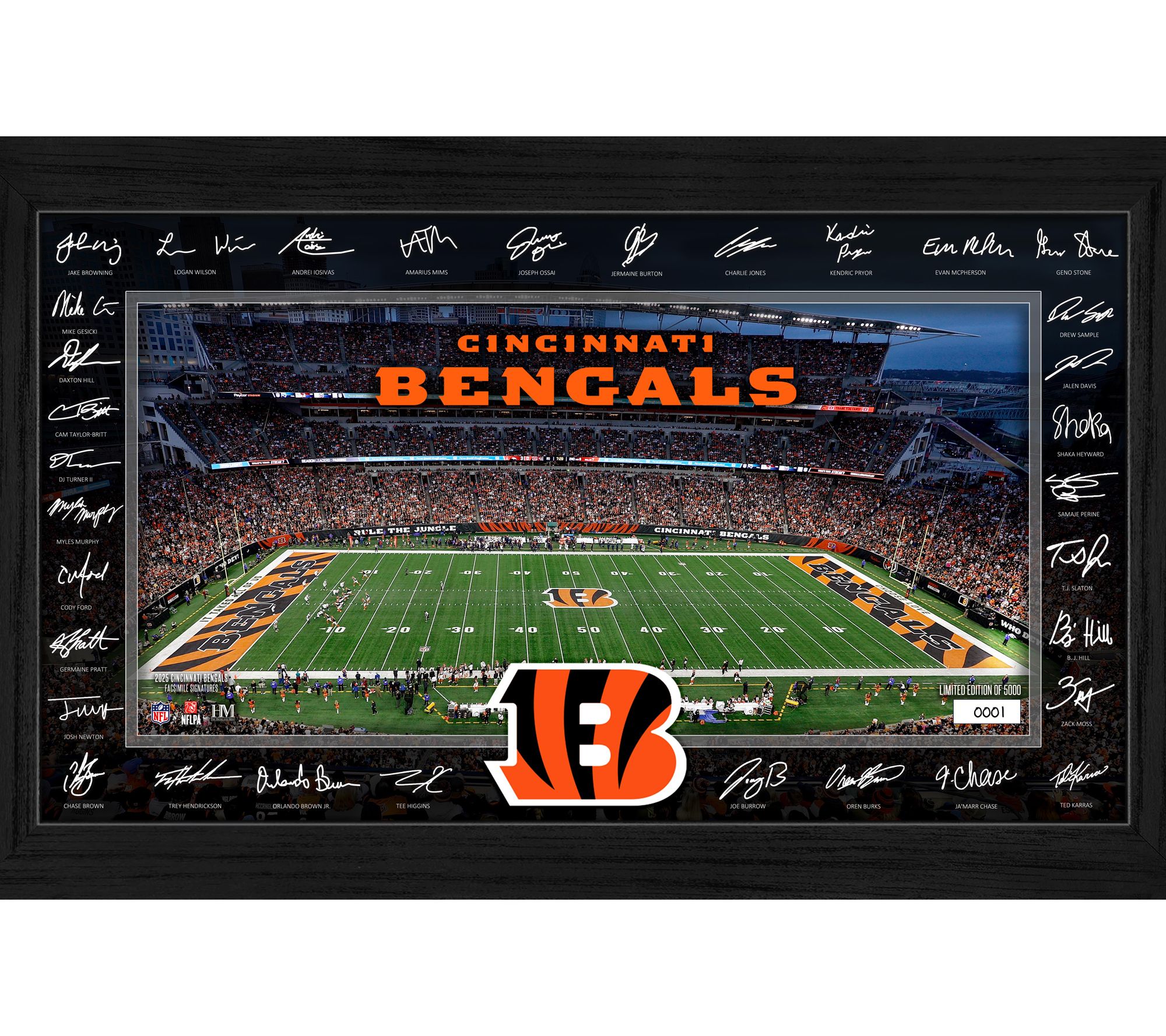Bengals