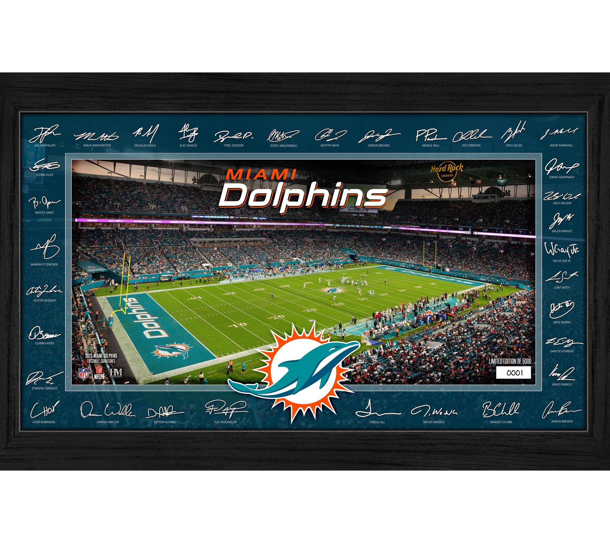Dolphins