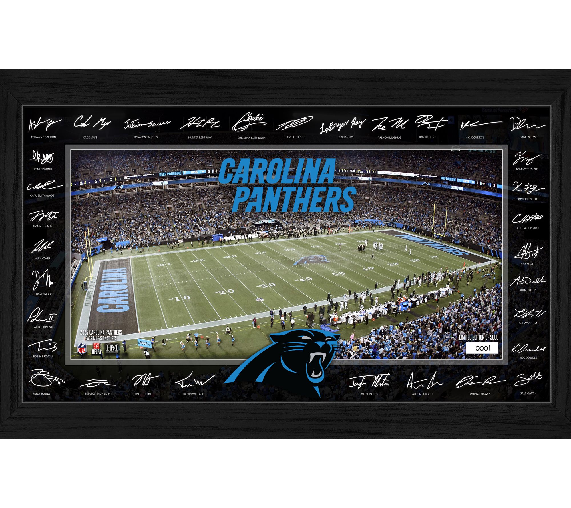 Panthers