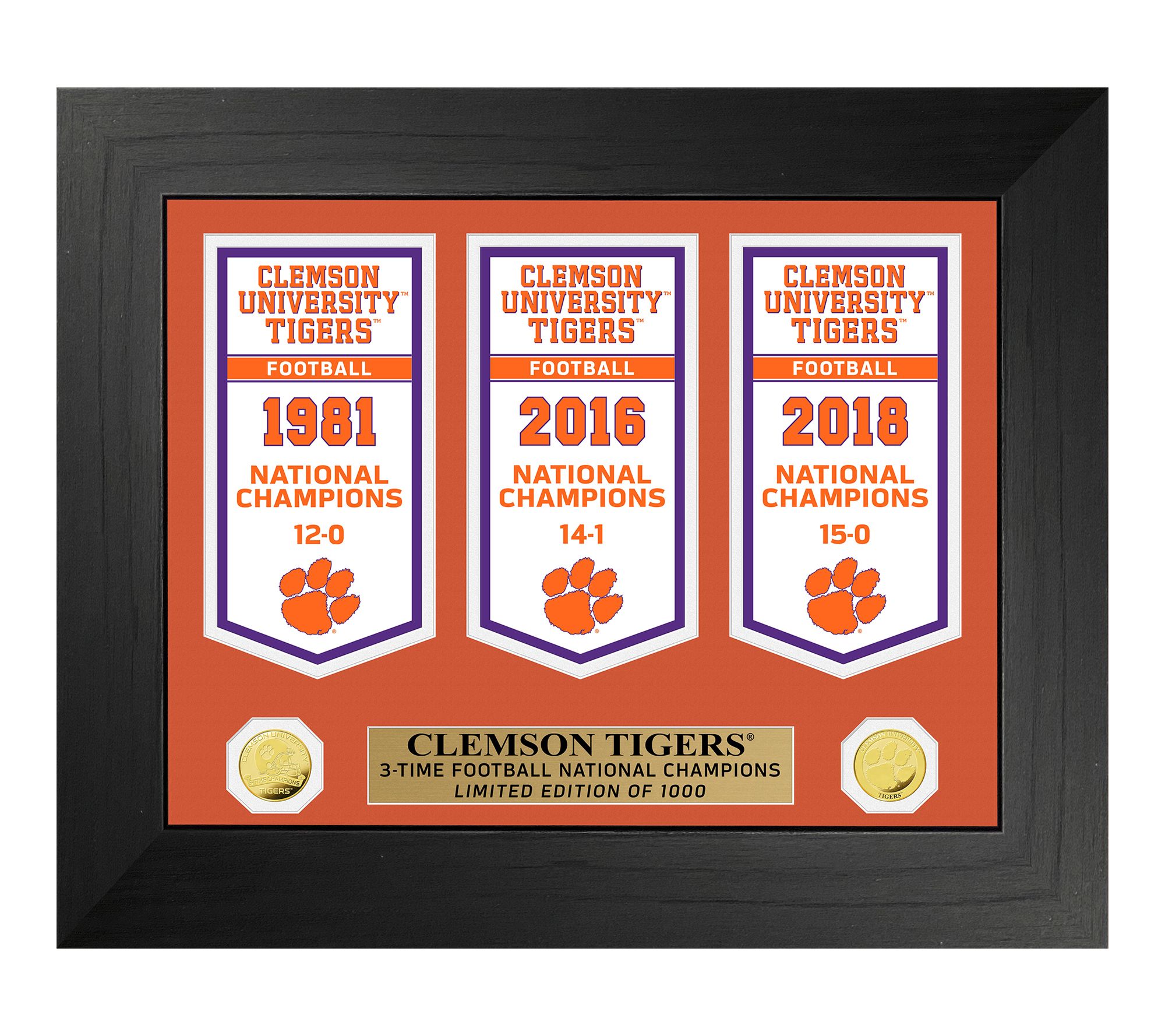 Highland Mint NCAA University Team Champs Deluxe Banner Frame