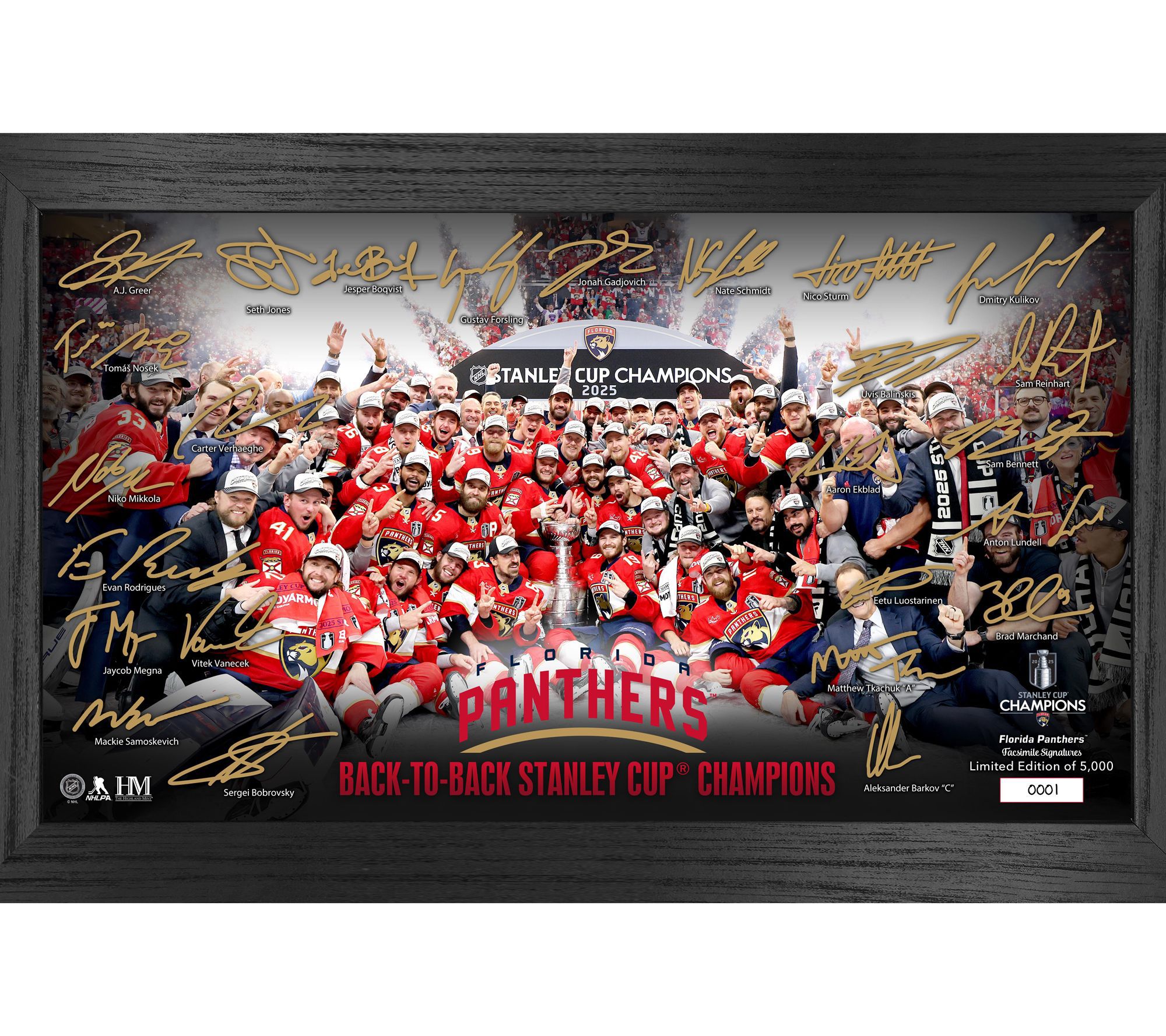 Highland Mint Florida Panthers 2025 Stanley Cup Champs Frame