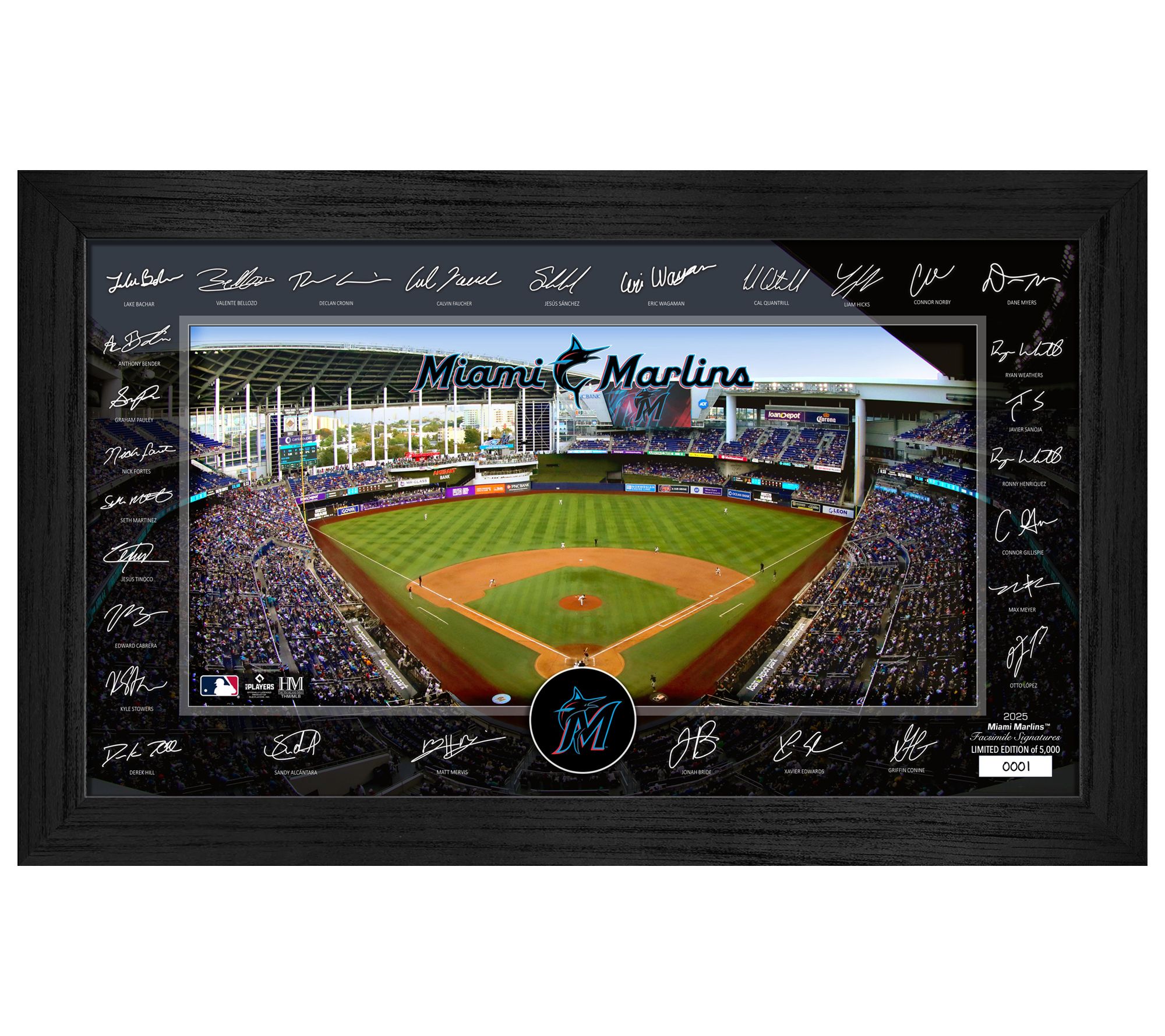 Highland Mint Miami Marlins 2025 Signature Field Frame