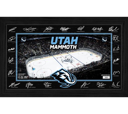 Highland Mint NHL 2025 Signature Rink