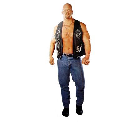 Stone Cold Vest For Sale  Steve Austin Leather Vest