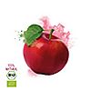 shuyao Starterbox Teamaker grün, Ginger Apple 125g & Trinkprotokoll, 3 of 6