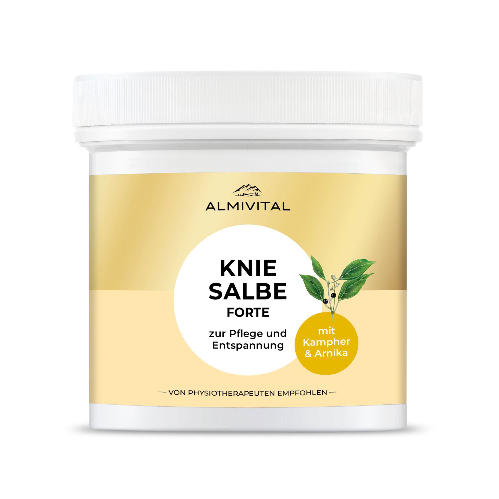 ALMIVITAL Kniesalbe Forte zur Pflege & Entspannung 500ml