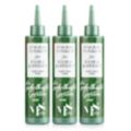 MARGOT SCHMITT® Fabelhafter Garten Süßgras Tonikum Trio 3x 250ml