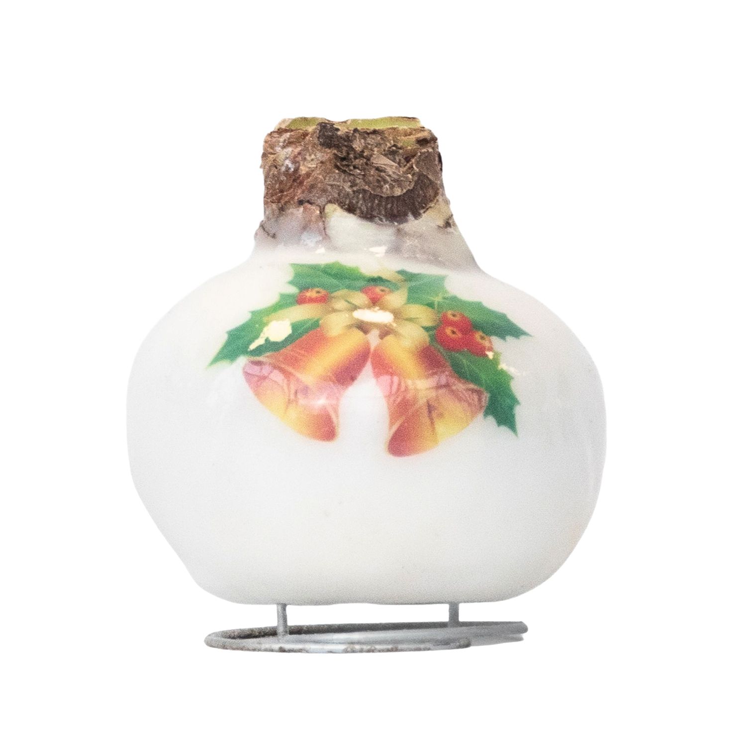 PFLANZENFREUND Amaryllis Porzellan-Wachs Weihnachtsmotiv Geschenkverpackung