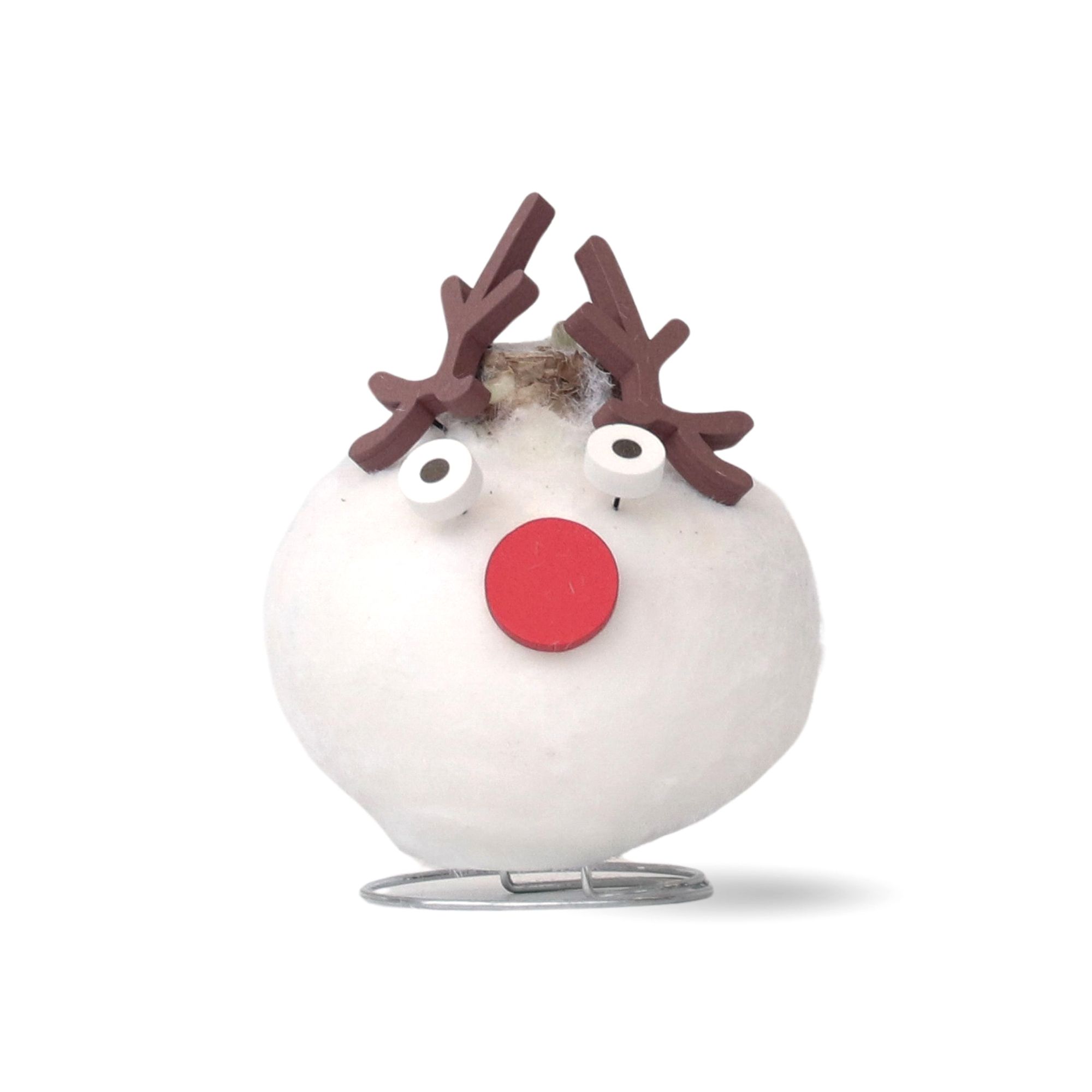 PFLANZENFREUND Amaryllis Wachs-Spezial Edelstahl-Fuß Weihnachts-Motiv