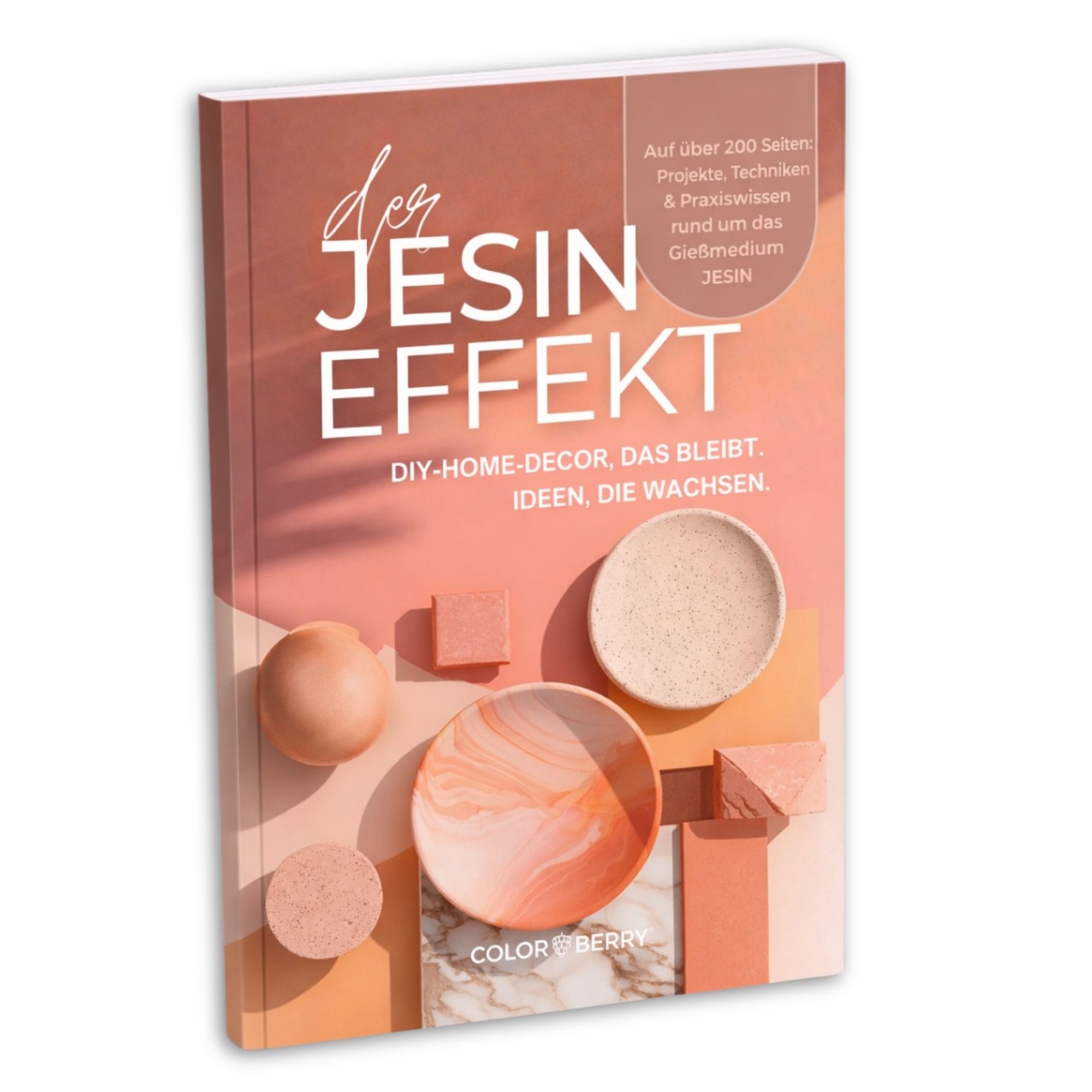 COLORBERRY Kreativ Buch Der Jesin Effekt 212 Seiten rund ums Gießmedium