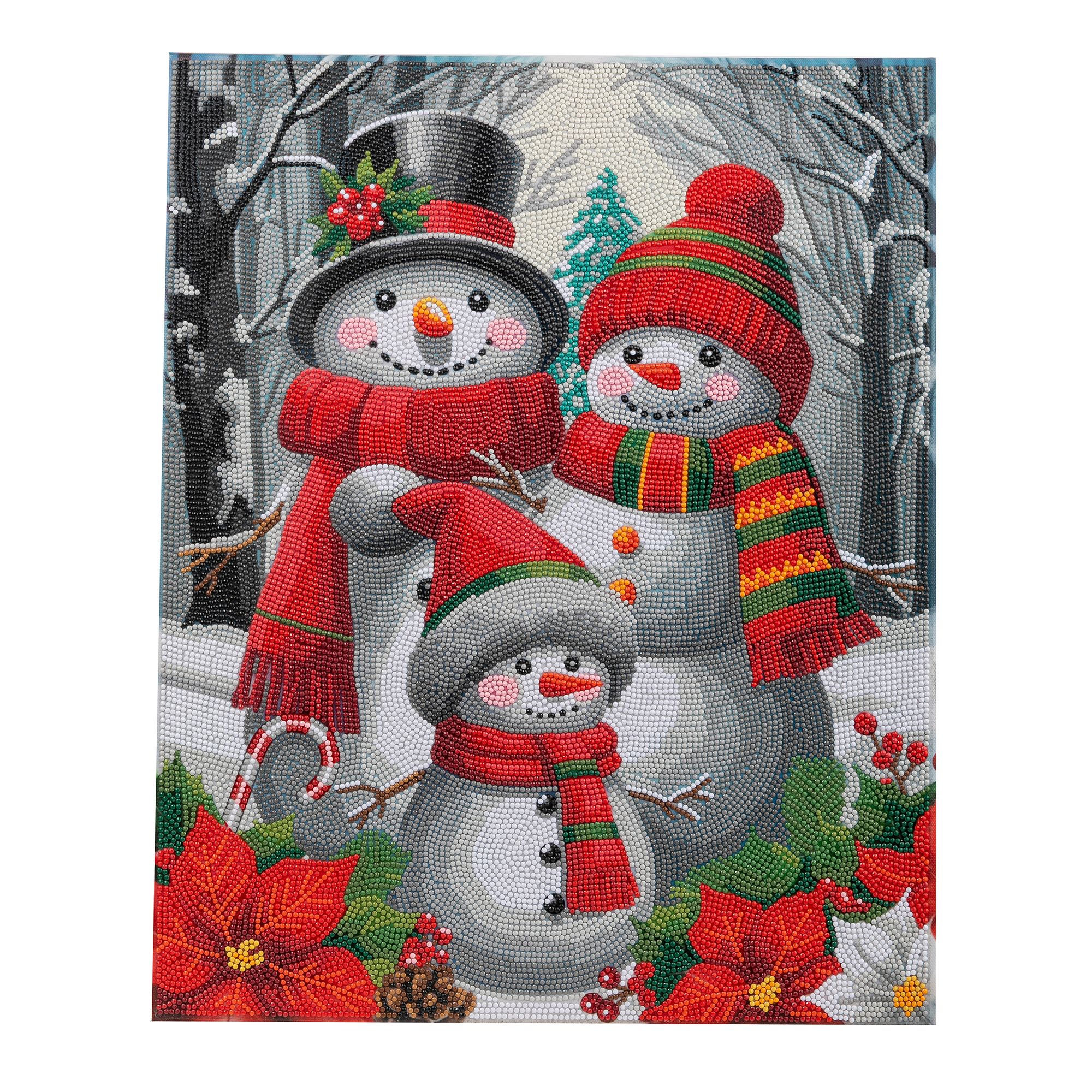 CRAFT BUDDY™ Diamond Painting Bild 40x50cm zum Nachlegen 5tlg.