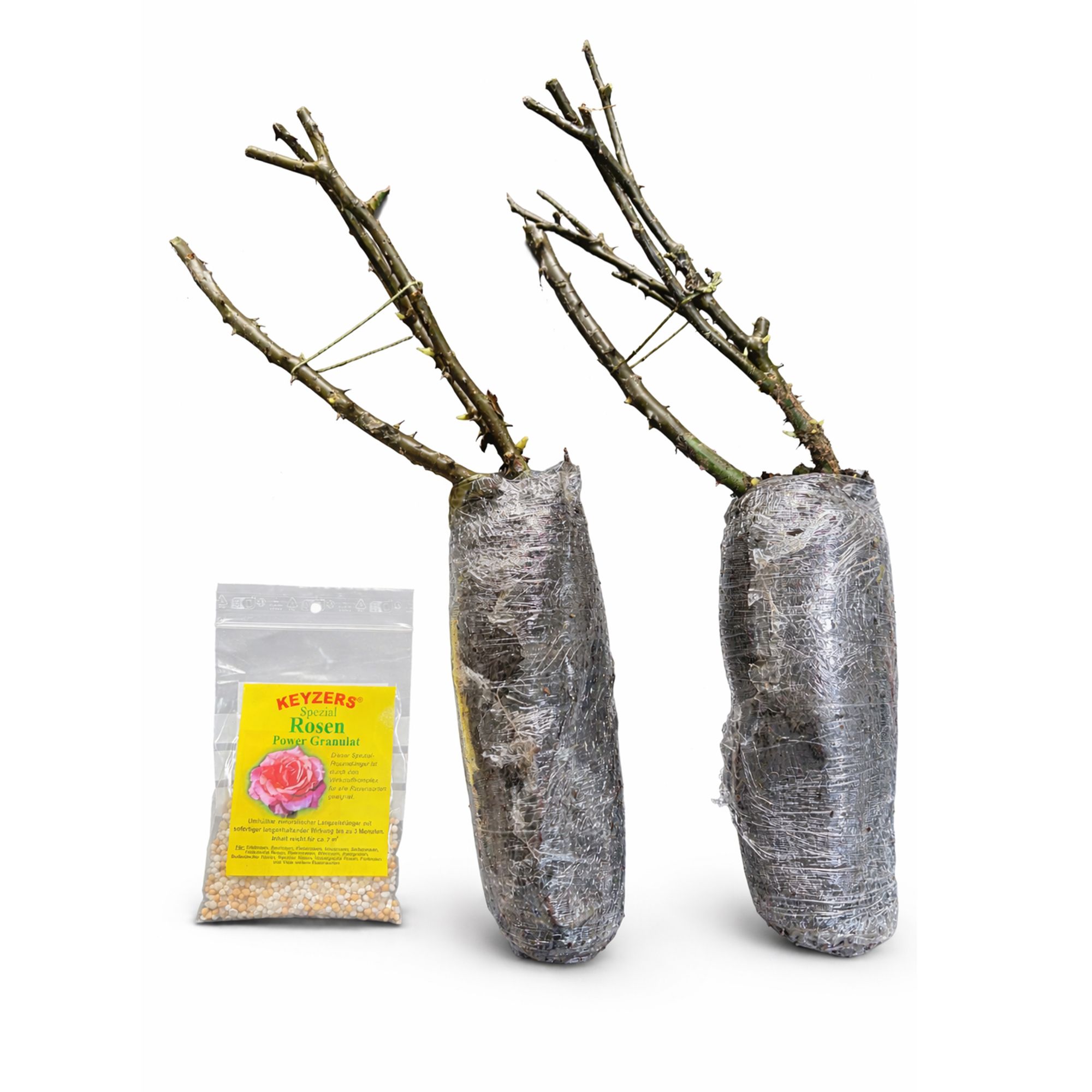 KEYZERS® 30 Jahre QVC Rose inkl. Rosen-Power Granulat, 50g 2 Sorten, 2 Pflanzen