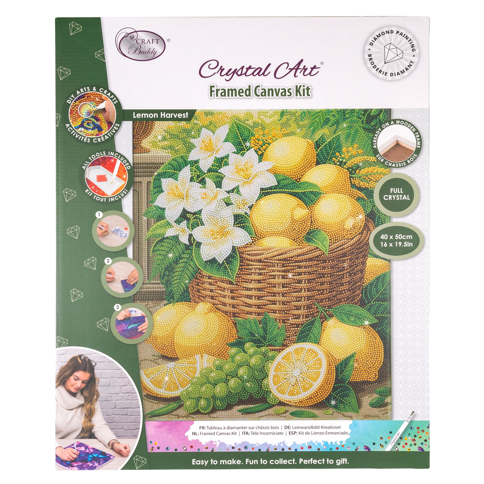 CRAFT BUDDY™ Diamond Painting Bild 40x50cm Zitronen 5tlg.