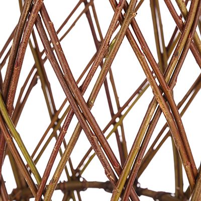 Living Willow geflochtene Weide handgefertigt 1 Pflanze Höhe ca. 80cm