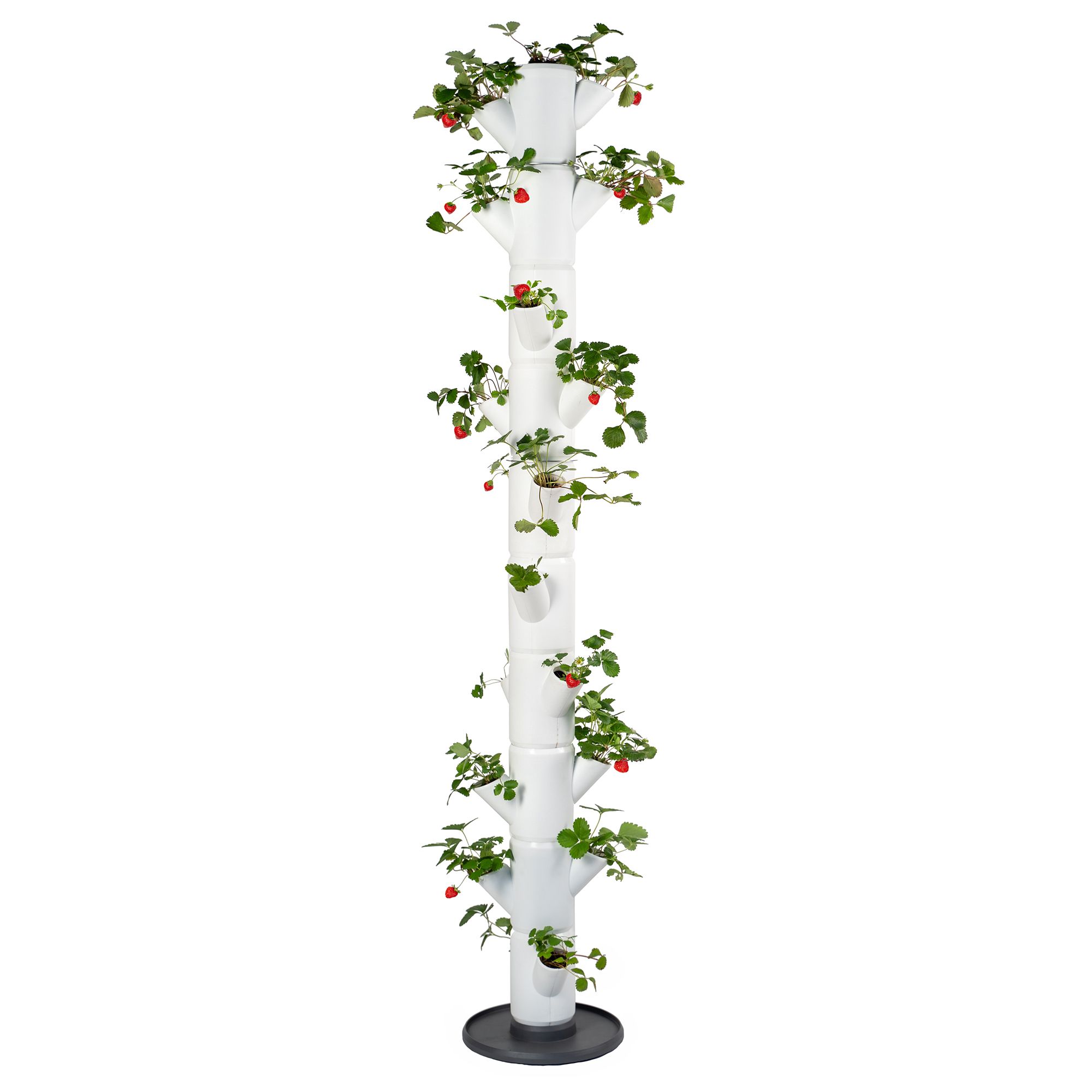 GUSTA GARDEN Erdbeerturm Infinty Sissi Strawberry passend für 21 Erdbeerpflanzen