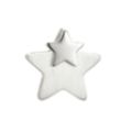 PLATINITY Stern-Anhänger mattiert/poliert mind. 1,7g Platin 950