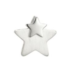 PLATINITY Stern-Anhänger mattiert/poliert mind. 1,7g Platin 950