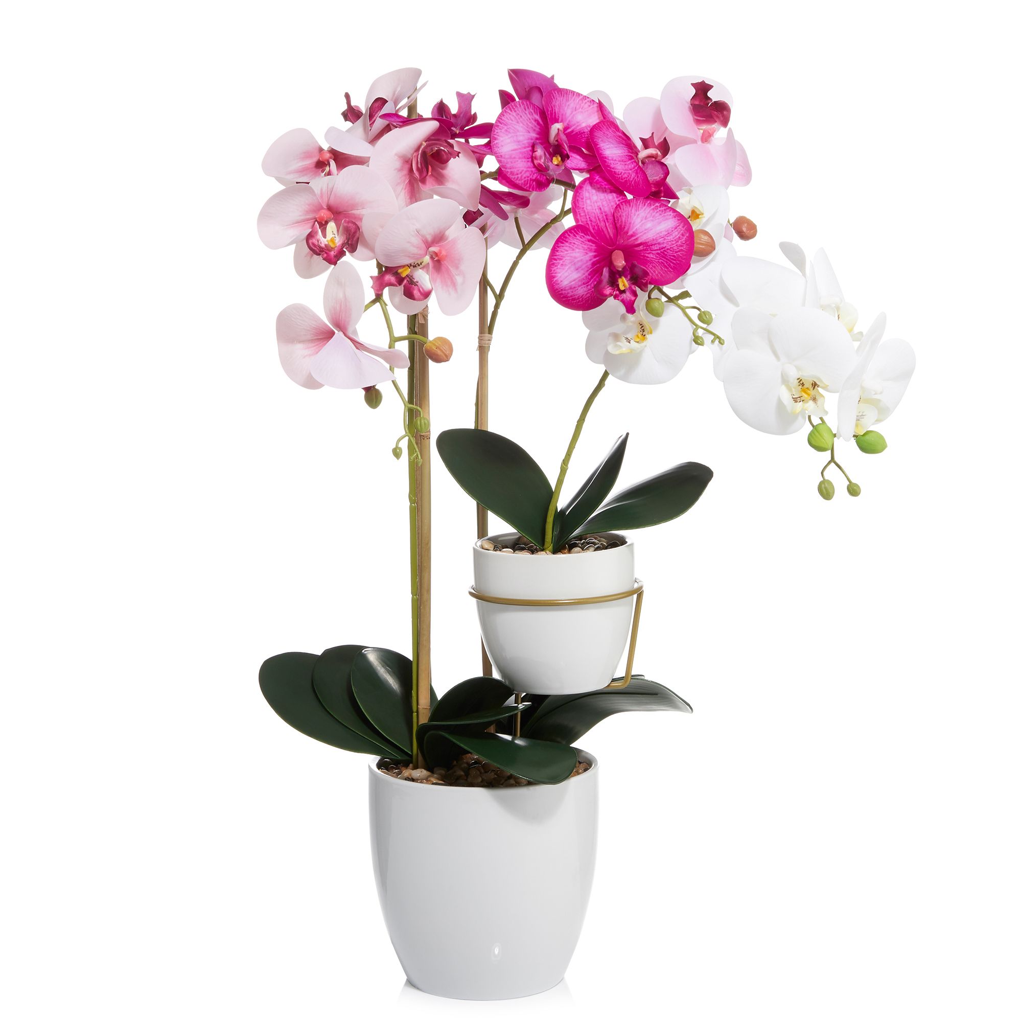 ABELLA Flora knstliche Orchideen Real Touch Effekt Keramiktopf H. 45 &  75cm, 2er-Set - QVC.de