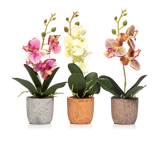 ABELLA Flora Mini-Orchideen künstlich 3er-Set Höhe ca. 27cm