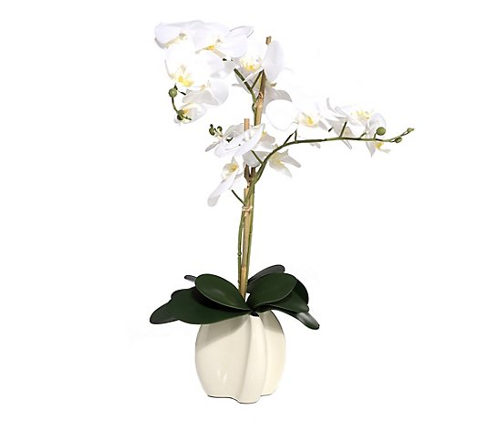 ABELLA Flora künstliche Orchidee 19 Blüten Designtopf Höhe ca. 70cm