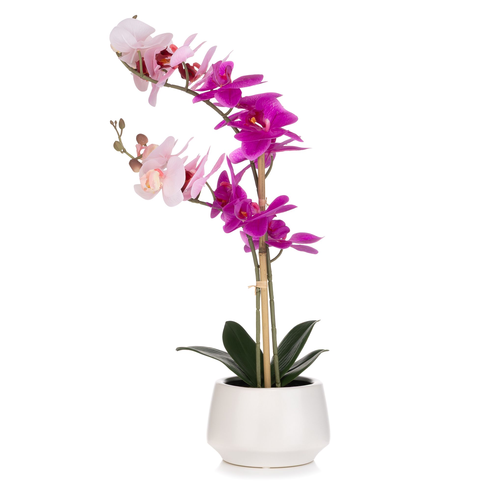 ABELLA Flora künstliche Orchidee Farbverlauf-Blüten Keramik-Topf Höhe 52cm
