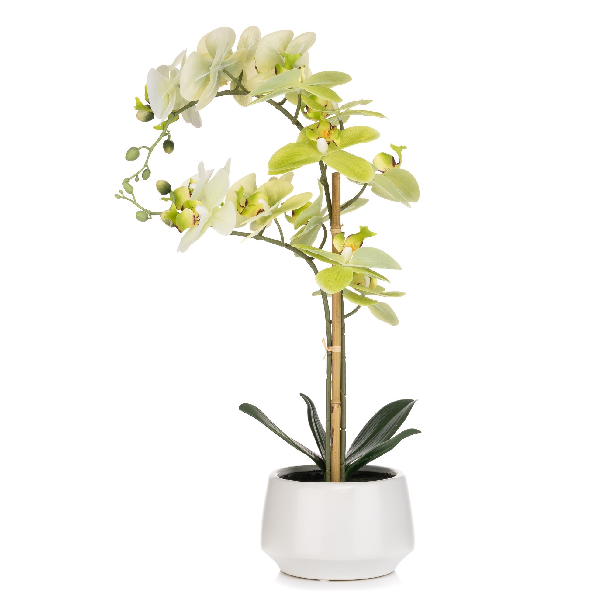 ABELLA Flora künstliche Orchidee Farbverlauf-Blüten Keramik-Topf Höhe 52cm
