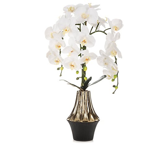 ABELLA Flora künstliche Orchidee schwarz/goldener Designtopf Höhe ca.65cm