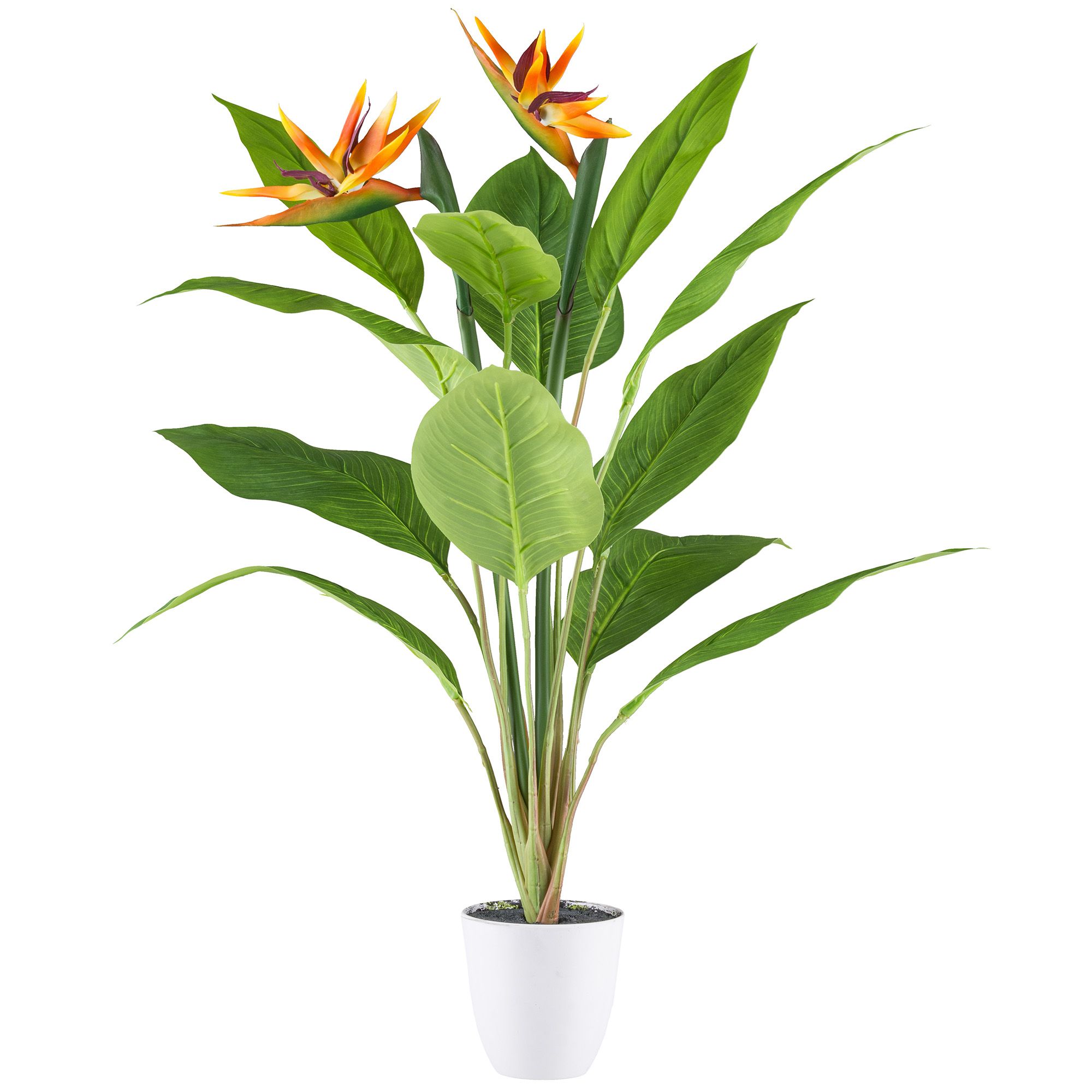 CREATIV green Kunstpflanze Strelitzia mit Blüten Kunststofftopf Größenauswahl