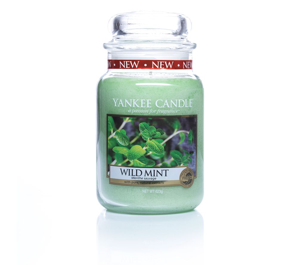 YANKEE CANDLE Duftkerze Wild Mint Brenndauer 100150h 623g QVC.de