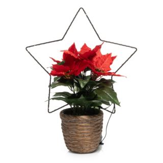 LUMIDA Flora Weihnachts-Pflanze mit LED-Silhouettte outdoorgeeginet 30 LEDs, Timer