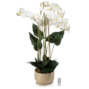 LUMIDA Flora künstliche Orchidee Real Touch-Effekt inkl. LEDs & Timer dimmbar,H. 110cm - 779630
