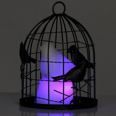 Set Weiß Braun ELAMBIA Flammenlose Kerze Vogel im Käfig mit Sound Timer 2-tlg 