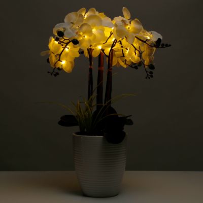 LUMIDA Flora leuchtende Blumen Deko-Gras LED-Sticks Höhe ca. 127cm 