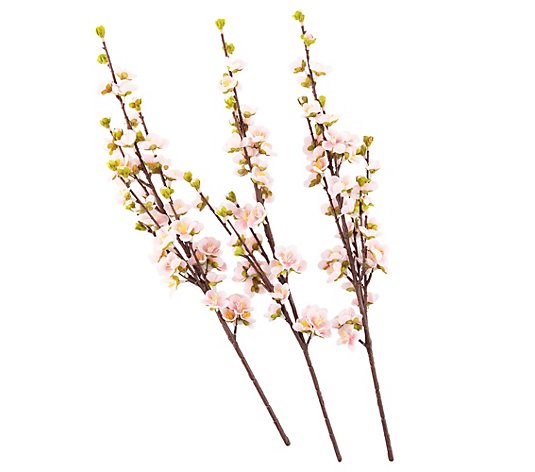 ABELLA Flora künstl. Kirschblüten natürliche Haptik dekorativ Höhe 60cm, 3er-Set