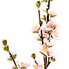 ABELLA Flora künstl. Kirschblüten natürliche Haptik dekorativ Höhe 60cm, 3er-Set, 1 of 2