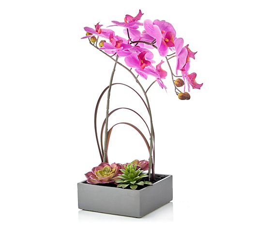 ABELLA Flora künstliche Orchidee inkl. Bepflanzung Deko-Topf Höhe 44,5cm