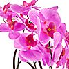 ABELLA Flora künstliche Orchidee inkl. Bepflanzung Deko-Topf Höhe 44,5cm, 2 of 3