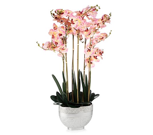 ABELLA Flora künstliche Orchidee großes Arrangement 72 Blüten, im Topf Höhe 125cm